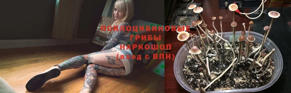 прущая мука Алзамай