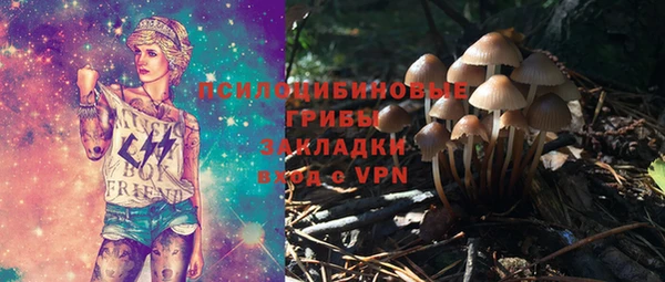 ешки Алексеевка