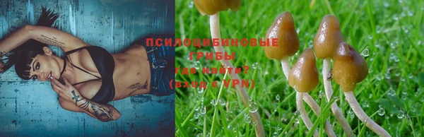 прущая мука Алзамай