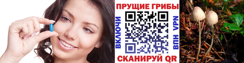Галлюциногенные грибы Psilocybe  blacksprut ТОР  Выкса 